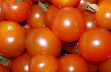 tomates-cerise-balsamique